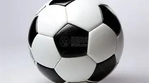 魔术险胜黄蜂，瓦格纳贡献26分